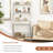 Winston Porter Ladder Shelf Desk Bookcase With Countertop, Drawer & 2 Shelves Bookshelf Oak