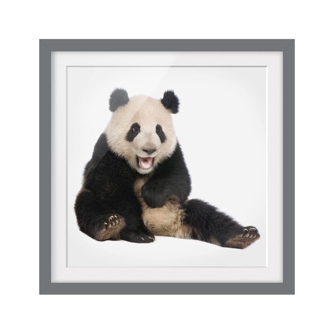 Gerahmtes Papierbild Lachender Panda