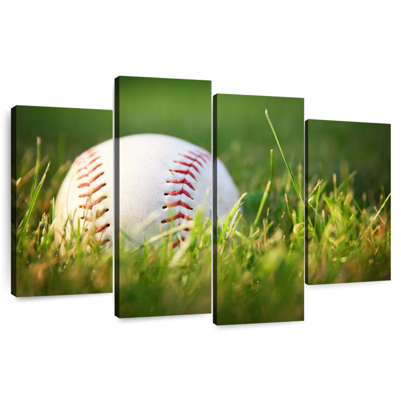 Ground baseball Sireci