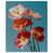 Gallery Wrapped is unavailable