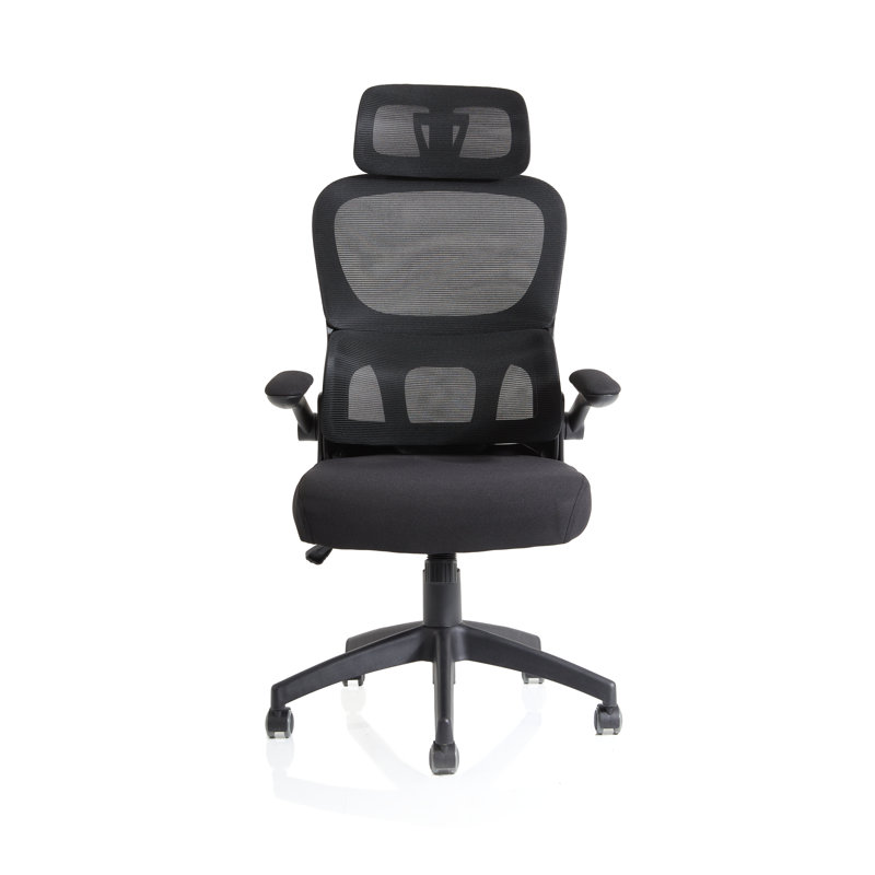 Aldarcy Polyester Blend Task Chair with Headrest, Black