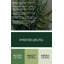 Art mural sur toile Botanical Sensitive-1728428393