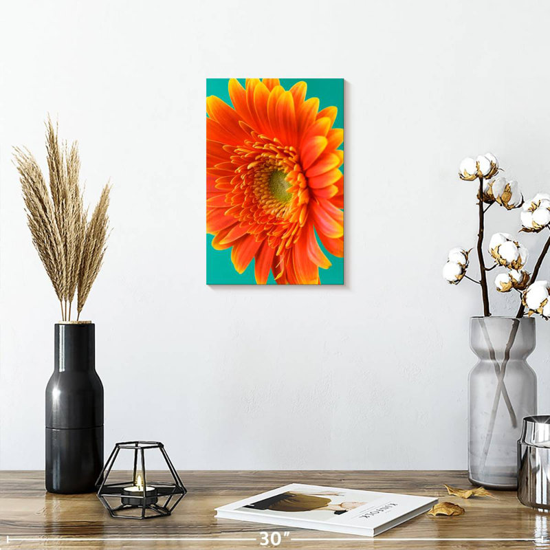 Harnek orange Gerbera Daisy II, H 12 po x l 8 po