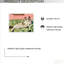 Art mural rétro sur toile, chat rigolo sur un canapé vert, impression sur toile - décoration murale pour le salon, 16 L x 20 l