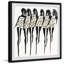 All Polka - reproduction de cadre photo-25672230