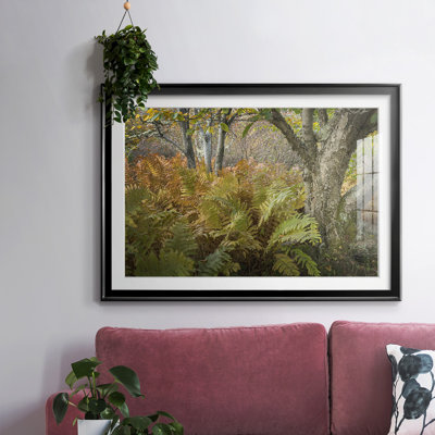 Autumn Ferns, reproduction d'art encadrée