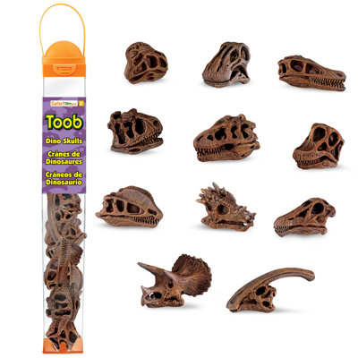 Crânes de dinosaures