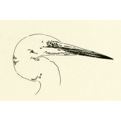 Heron Head I by Emma Caroline - Print on Canvas