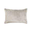 Canterbury Sham-519702545-519702549