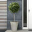 Rustic Style Rolled Rim Vase Planter-32389894-32389893