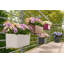 Balconera Window Box Planter-16493027-16493028