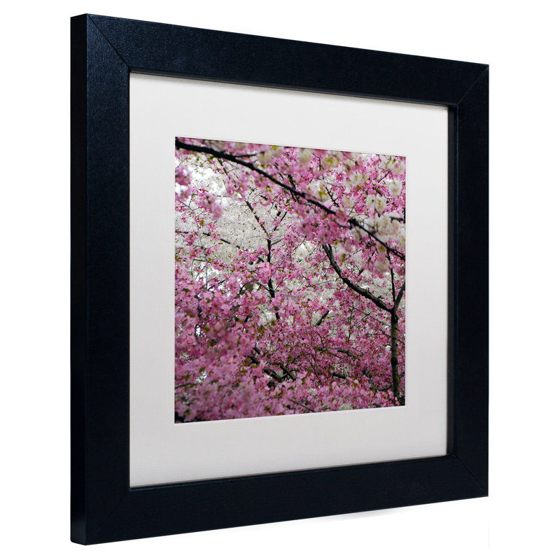 «Cherry Blossoms 2014-3» par CATeyes, Khosrov, reproduction de photo encadrée, H 11 po x l 11 po, Blanc