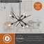Luminaire suspendu de style Mid-Century moderne à 6 lumières de 24,25 po de largeur, noir et laiton satiné, compatible avec DEL, plafonnier suspendu à hauteur réglable pour table de salle à manger, cuisine, vestibule, chambre à coucher, îlot, vestibule-124800242
