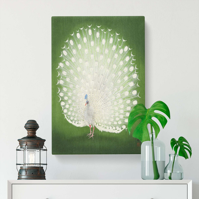 Peacock - Wrapped Canvas, 76cm H x 50cm W x 3cm D