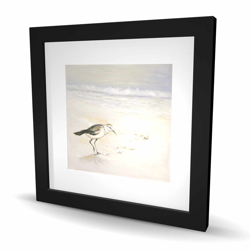 Bécasseau semipalmé sur la plage - impression encadrée avec passe-partout, Noir, H 16 po x l 16 po