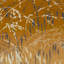 Floral Metallic Wallpaper Roll-1056889354