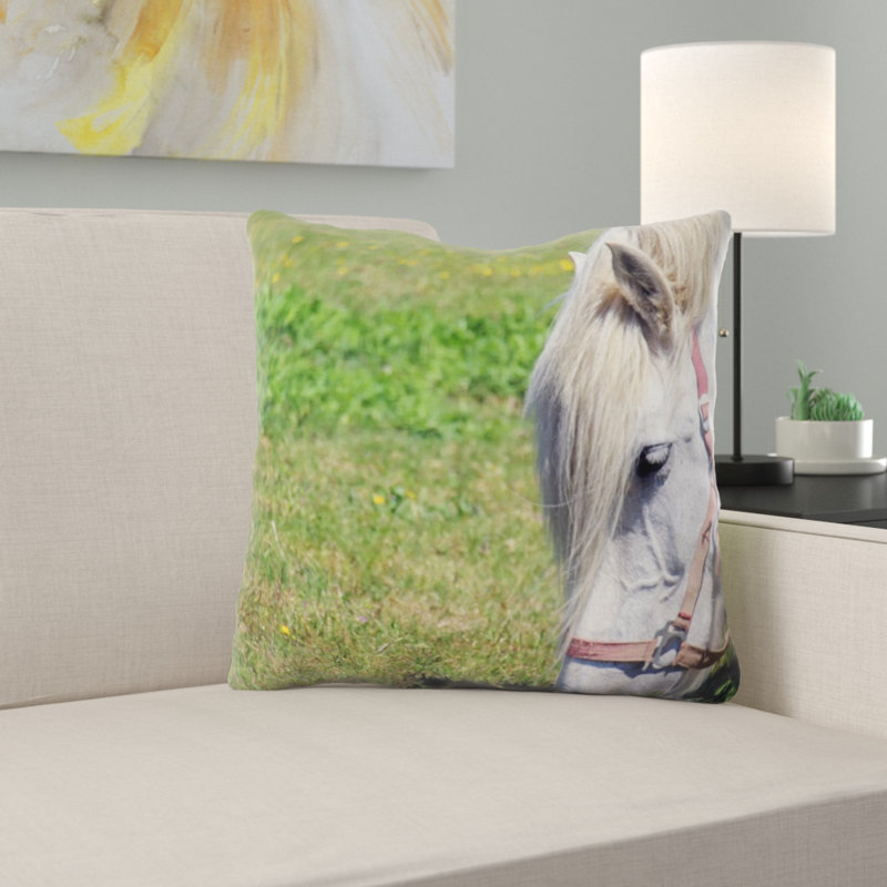Coussin cheval