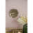 D10x1.4" Succulent Wall Plaque