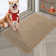 Area Rugs Washable Indoor Door Mat Non-slip Dirt Trapper Doormat Absorbent Welcome Mat for Front Door and Covered Outdoor Areas