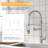 FLG Pull Down Kitchen Faucet