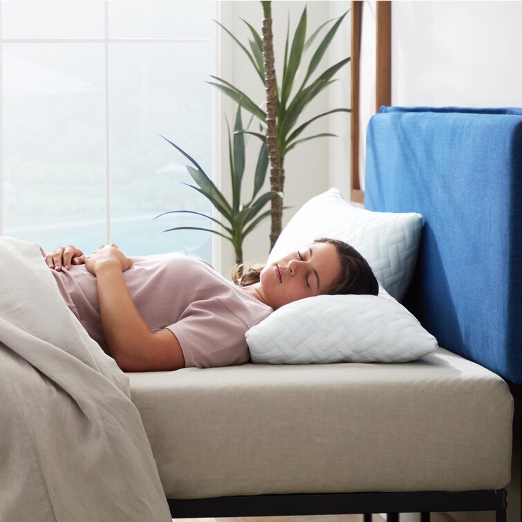 Wayfair Sleep Encased Cooling Shredded Memory Foam Medium Support Pillow Size: Standard