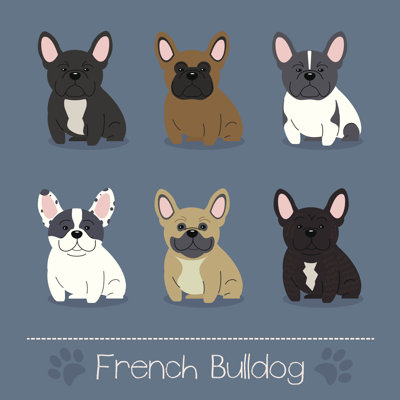 Different French Bulldog by Ma-lina - Wrapped Canvas Print