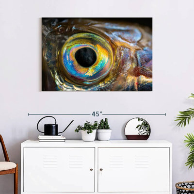 Œil de poisson irisé