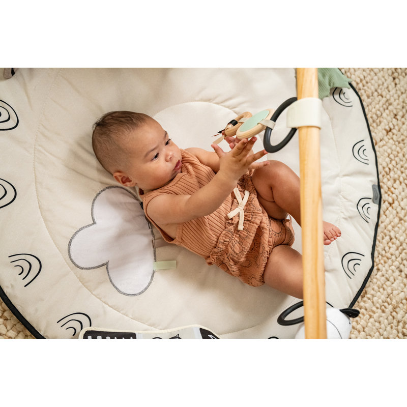 Gymini de développement Tiny Love Luxe