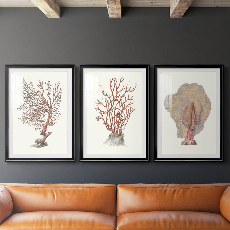 Terra Cotta Coral I - reproduction sur mesure encadrée de qualité supérieure - 3 pièces, H 15 po x l 19 po, Noir