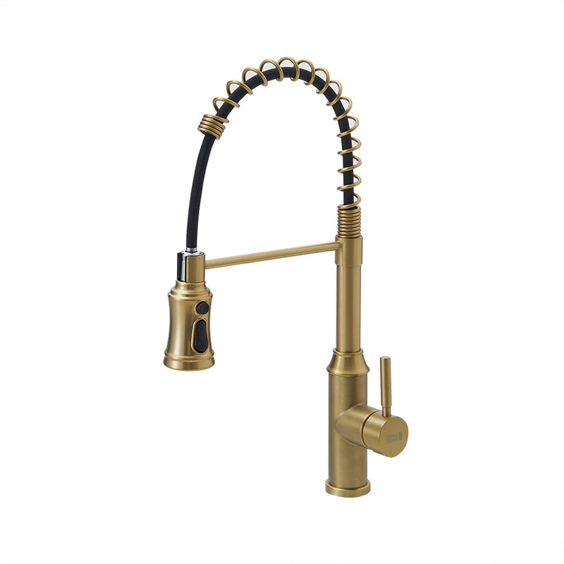Belfry Kitchen Kitchen Faucet, Gold/Black
