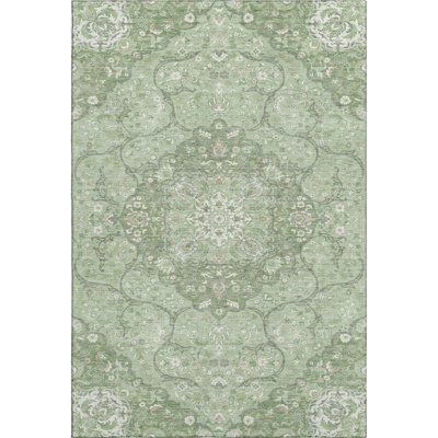 Premium Machine Washable Varasteh AMF1677 Medallion Rug