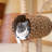Giraffe Cat Scratching Post Cat Tree