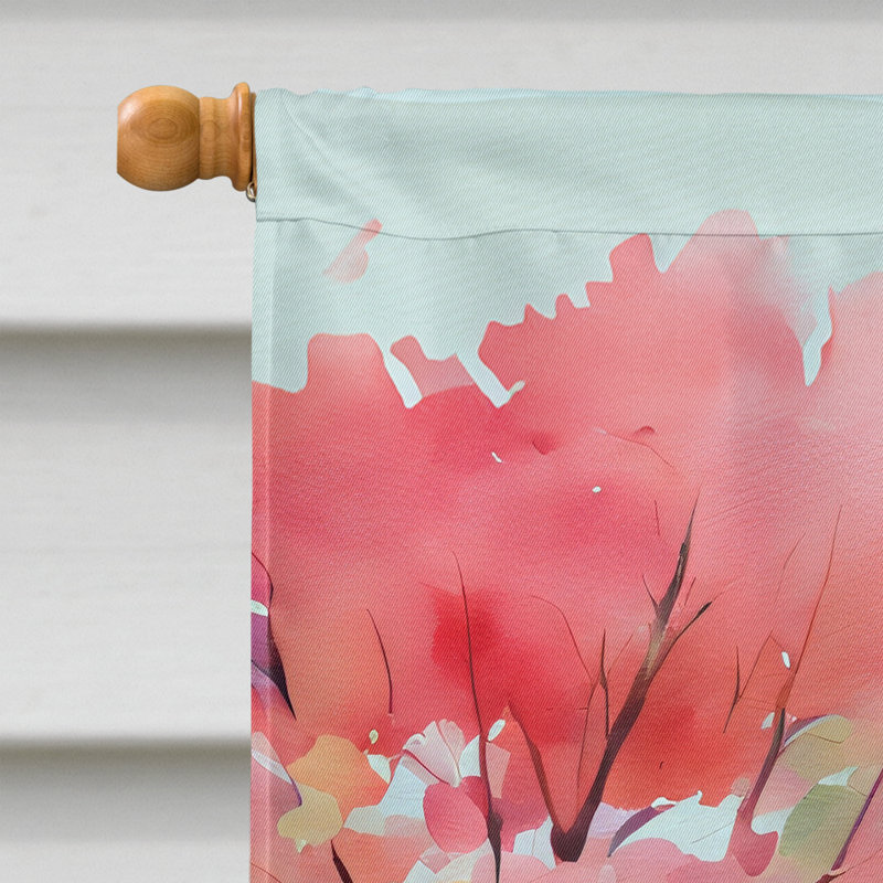 Double Sided 40'' H x 28'' W Polyester House Flag