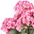 19.5" Artificial Geranium Bush-20583791