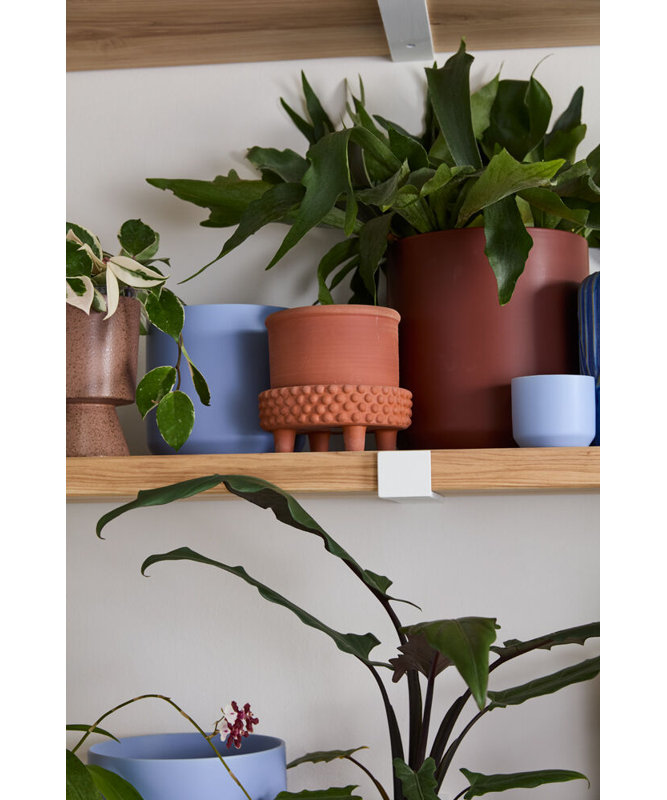L Round Footed Terracotta "Samara" Planter Pot, 6'' H x 6.25'' W x 6.25'' D, Orange