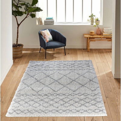 Teddy Geometric Shag Area Rug
