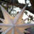 22 in. Solar Twinkle Globe Lantern Lamp Lighted Christmas Tree