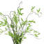 Janousek Faux Willow Branch in Vase
