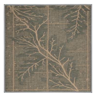 Machine Washable Nature Gray Area Rug