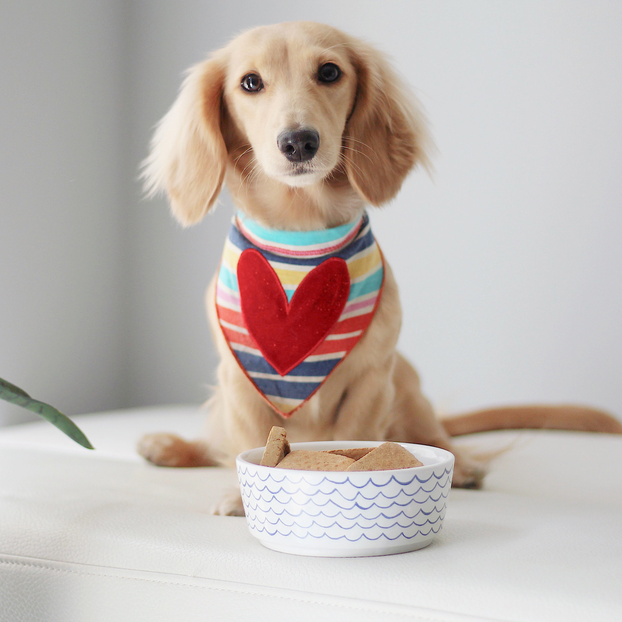 Sketched Wave Ceramic Dog Bowl, Large (8 cups / 64 fluid oz), 3.25" H, Blue Wave