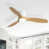 Blanc avec balde beige