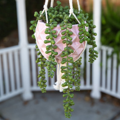 Odyssey Handmade Ceramic Hanging Planter