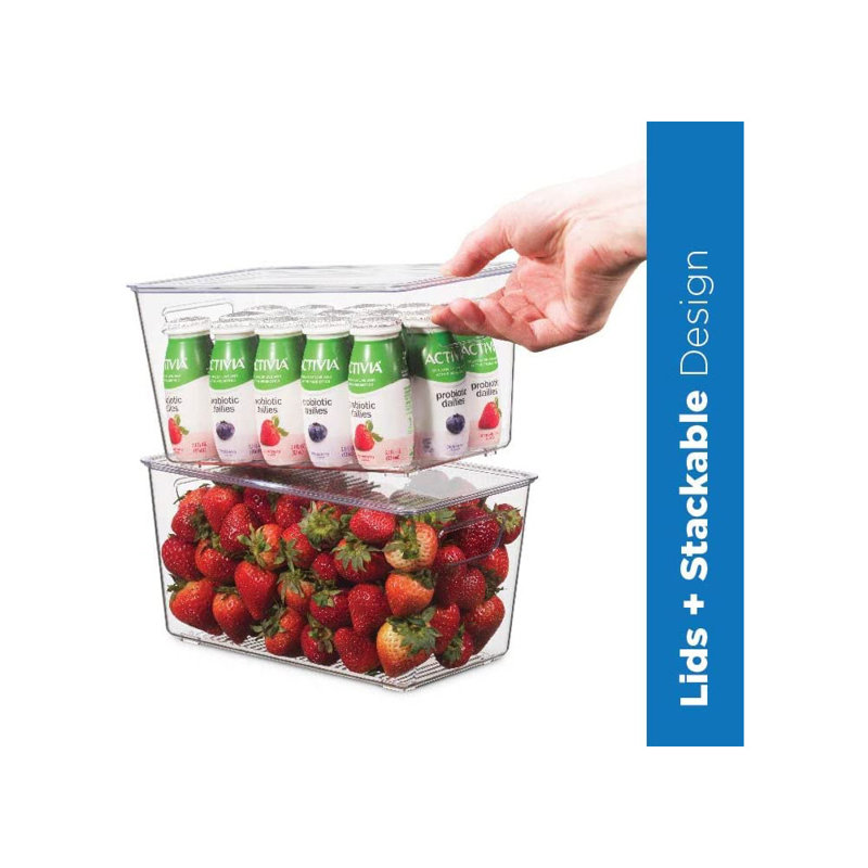 Caydan Set of 12 Fridge Bin