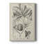 Impression sur toile antique antique botanique VI-270173734
