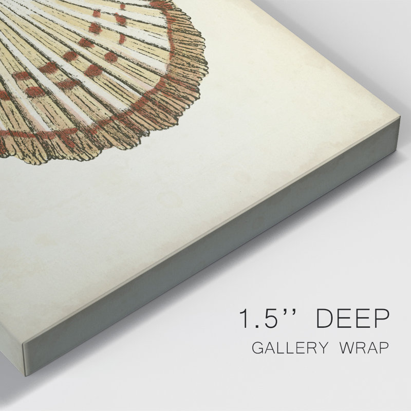 Collection Sealife VII, impression sur toile tendue, H 12 po x l 8 po x P 1 po