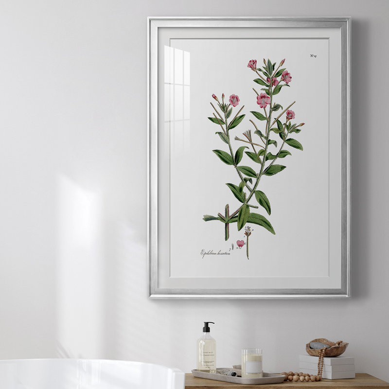 «Rose Botanical III», reproduction encadrée de qualité supérieure - prête à être accrochée, H 36,5 po x l 26,5 po x P 1 po