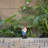 Hunting Garden Gnome with Yard Statue-1559656678