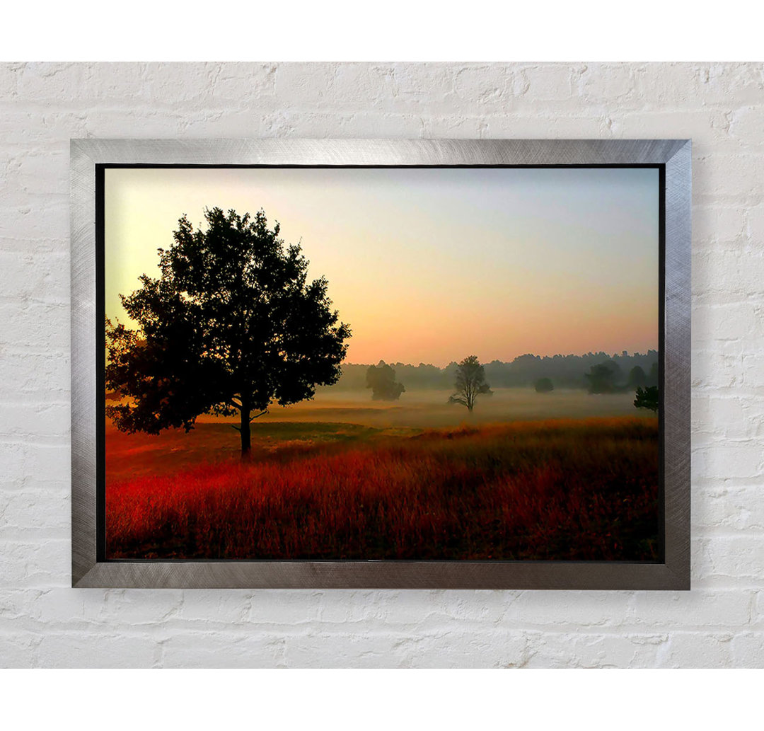 Herbstsonnenaufgang Baum im Nebel - Einzelne Bilderrahmen Kunstdrucke