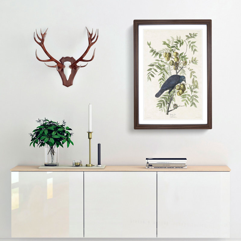 American Crow by John Audubon - Single Picture Frame Painting, 33cm H x 24cm W x 2cm D, Walnut Framed