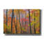 «Autumn Colors» par Patrick Zephyr, art mural sur toile-1361258675